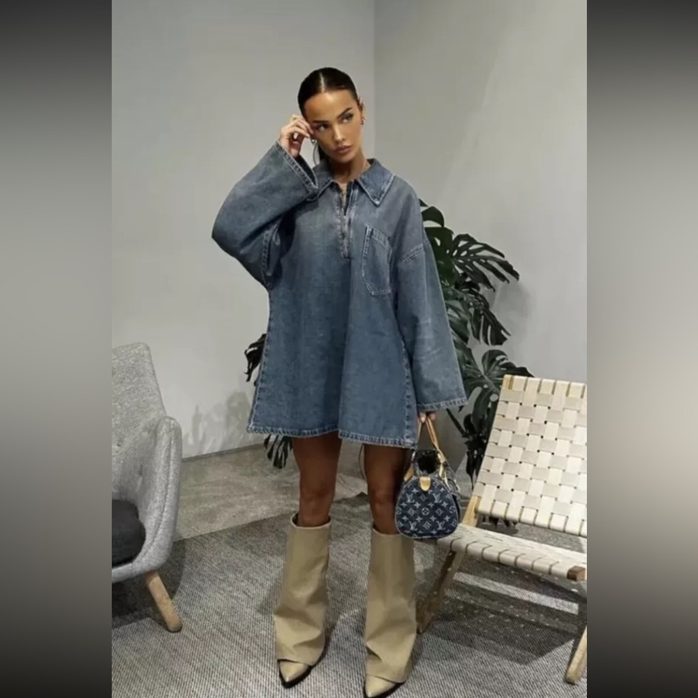 Zara Denim Dress